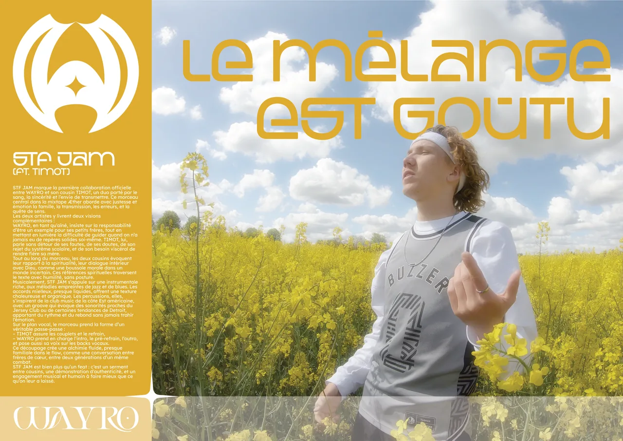 Affiche inédite du morceau STF JAM, en featuring avec mon cousin